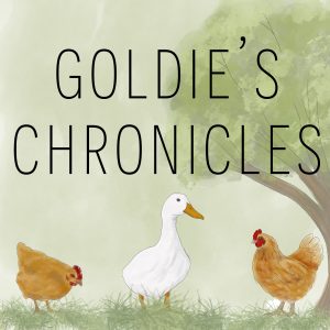 Goldie's Chronicles